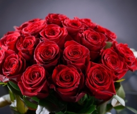 24 RED ROSES